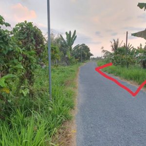 430 NỀN CÁCH KCN HÒA PHÚ 5 PHÚT