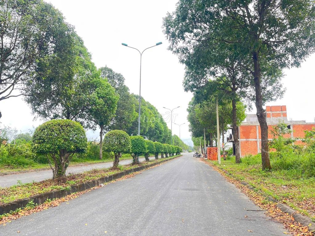 B.án nền110m² đường Phượng Hoàng KĐT Mekong City, Bình Minh, Vĩnh Long - Ảnh 5