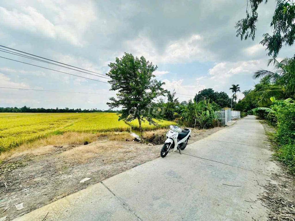 - Bán 9.550m2 Đất Ruộng - Mặt Tiền Đường Bê Tông 3m - Ôtô Tới Đất - Xã Phú Quới ( Thạnh Quới Cũ ) - Vĩnh Long.