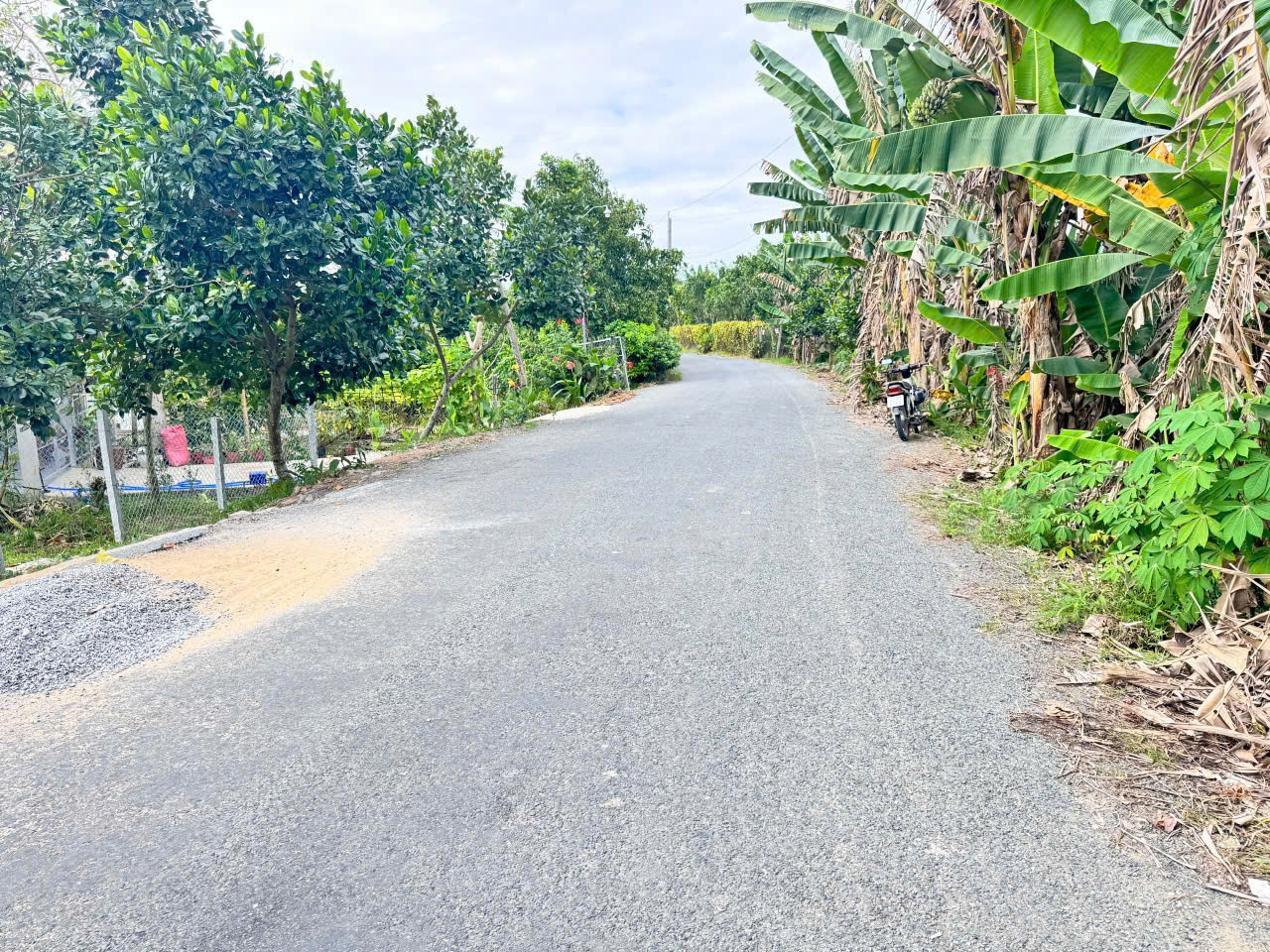 BÁN VƯỜN SẦU RIÊNG 5448M2 ĐƯỜNG NHỰA- CÁCH KCN BÌNH MINH 7KM- VĨNH LONG - Ảnh 4