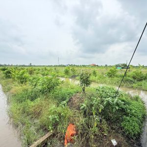 Alternative view of ĐẤT NGHỈ DƯỠNG 2000M2 CHỈ 1 TỶ 150 CÁCH KCN BÌNH MINH -CẦN THƠ 10 PHÚT