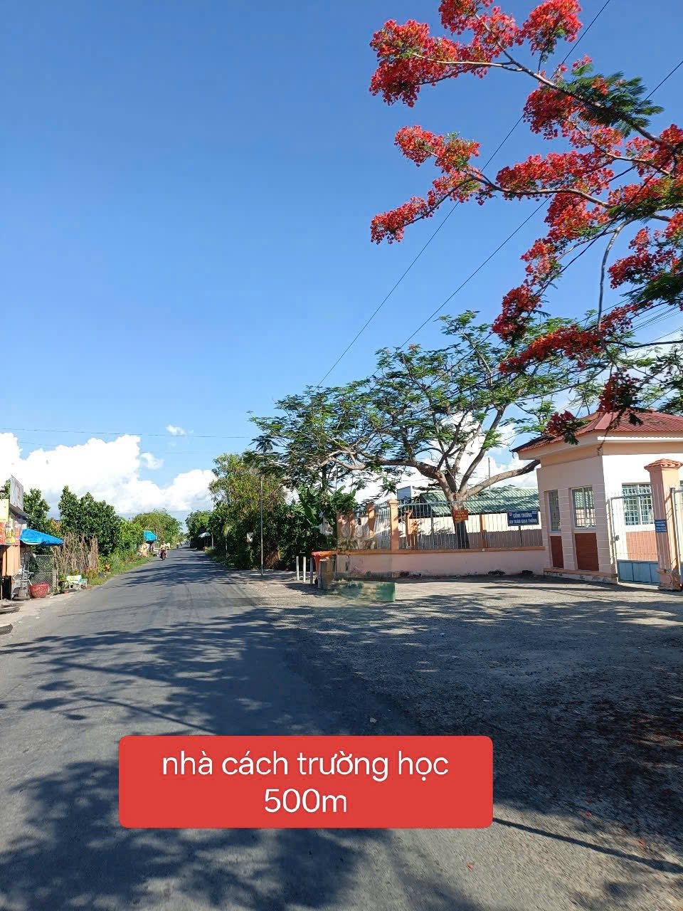 NHÀ MỚI 100% MẶT TIỀN ĐƯỜNG NHỰA CÁCH KCN BÌNH MINH 7 PHÚT - Ảnh 8