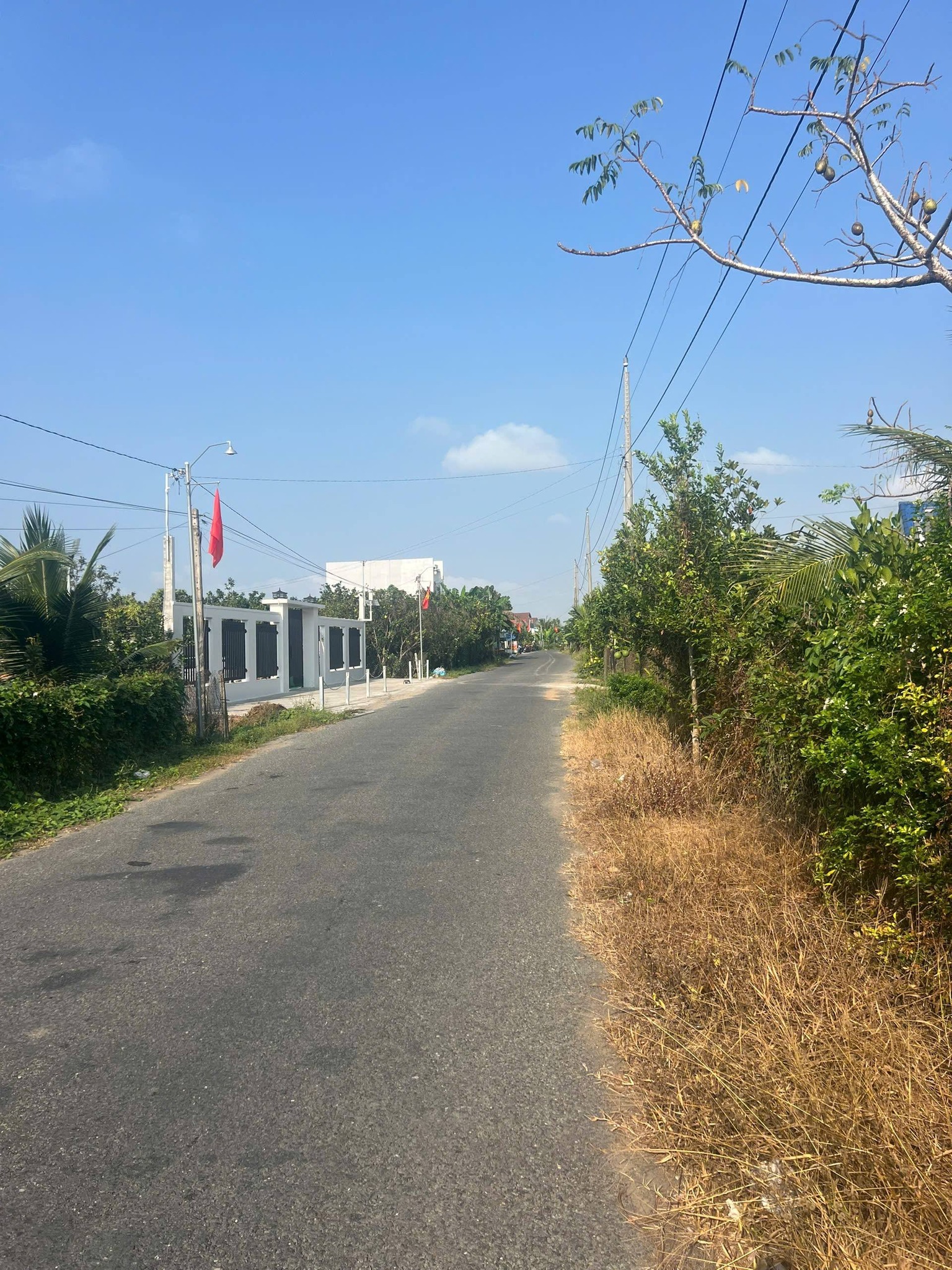 599 Triệu/ Nền BÁN NỀN ĐƯỜNG NHỰA – GIÁ TỐT ĐẦU TƯ & AN CƯ thuộc Phường Cái Vồn Vĩnh Long