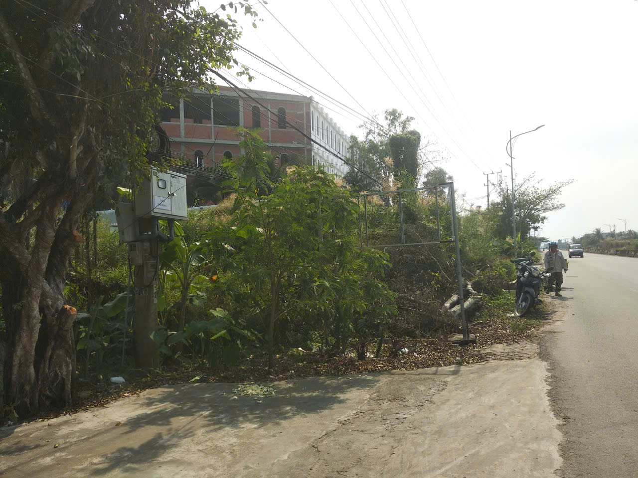 3.5 TRIỆU/ M2 MẶT TIỀN QUỐC LỘ 1 A CÁCH CẦU CẦN THƠ 12KM PHÍA VĨNH LONG - Ảnh 2