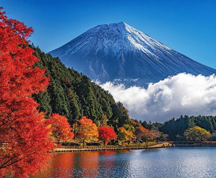 CUNG ĐƯỜNG - KANSAI – OSAKA – KYOTO – FUJI – TOKYO- HANEDA 5Ngày 4 Đêm | BAY VIETJET AIR - Ảnh 10