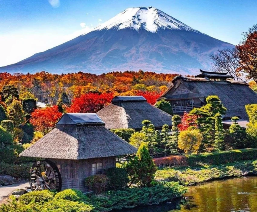 CUNG ĐƯỜNG - KANSAI – OSAKA – KYOTO – FUJI – TOKYO- HANEDA 5Ngày 4 Đêm | BAY VIETJET AIR - Ảnh 9