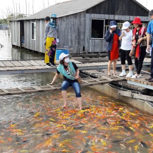 DU LỊCH CỘNG ĐỒNG CỒN SƠN (NỮA NGÀY) BẰNG TÀU TẠI BẾN NINH KIỀU