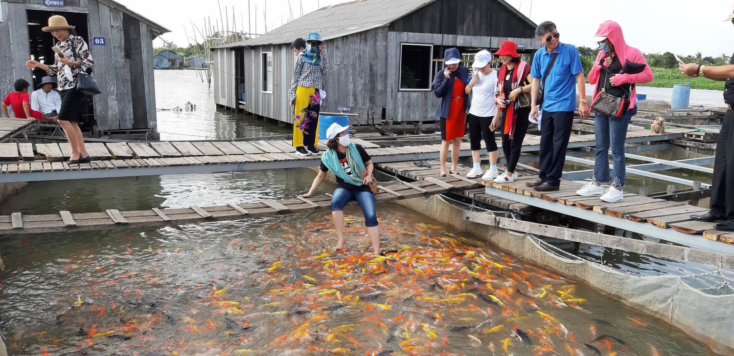 DU LỊCH CỘNG ĐỒNG CỒN SƠN (NỮA NGÀY) BẰNG TÀU TẠI BẾN NINH KIỀU
