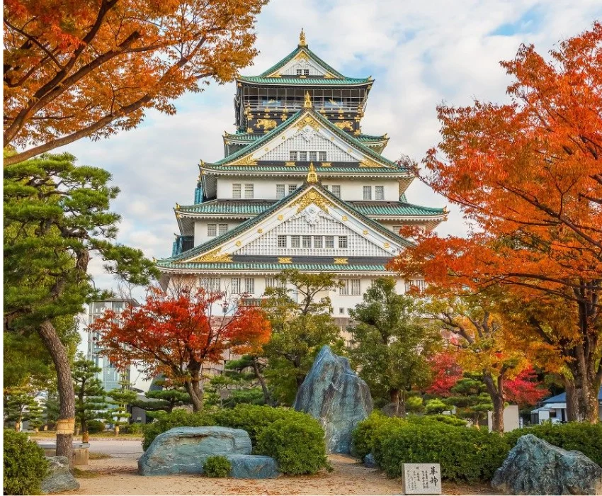 CUNG ĐƯỜNG - KANSAI – OSAKA – KYOTO – FUJI – TOKYO- HANEDA 5Ngày 4 Đêm | BAY VIETJET AIR - Ảnh 19