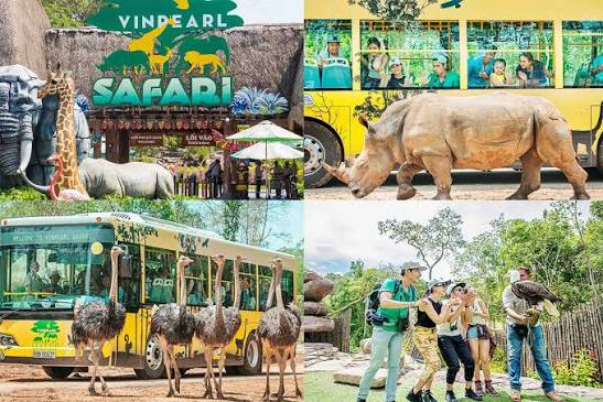 Đảo Ngọc Phú Quốc Câu Cá Trên Biển – Lặn Ngắm San Hô Grand World – Cáp Treo Hòn Thơm KH Từ Cần Thơ (Máy Bay) - Ảnh 4
