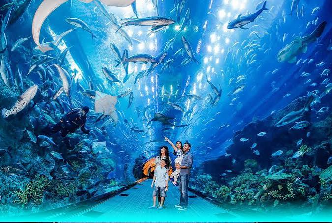 Đảo Ngọc Phú Quốc Câu Cá Trên Biển – Lặn Ngắm San Hô Grand World – Cáp Treo Hòn Thơm KH Từ Cần Thơ (Máy Bay) - Ảnh 3