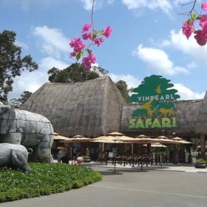 Alternative view of Đảo Ngọc Phú Quốc Câu Cá Trên Biển – Lặn Ngắm San Hô Grand World – Cáp Treo Hòn Thơm KH Từ Cần Thơ (Máy Bay)
